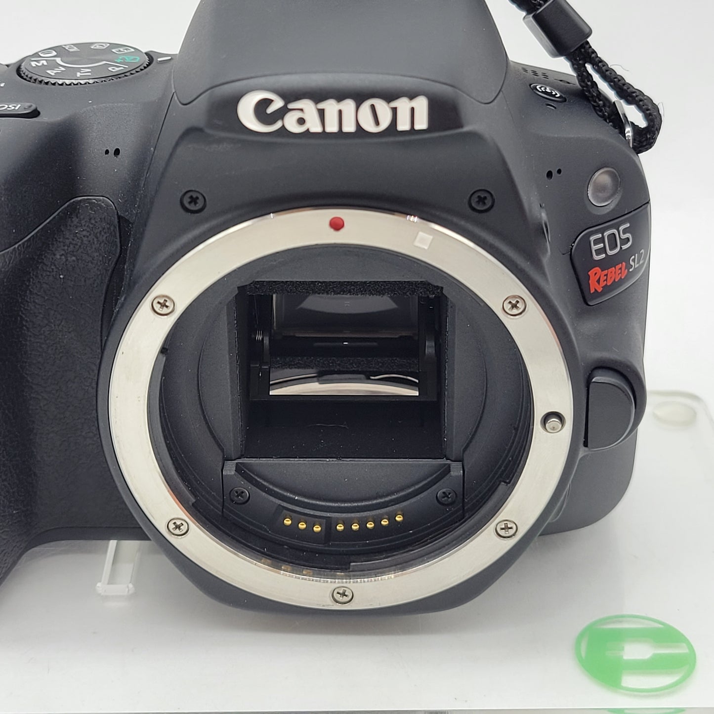 Canon EOS Rebel SL2 24.2MP Digital SLR DSLR Camera