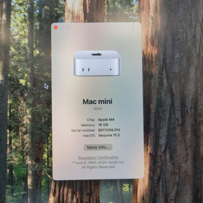 2024 Apple Mac Mini M4 4.4GHz 16GB RAM 256GB SSD Silver A3238