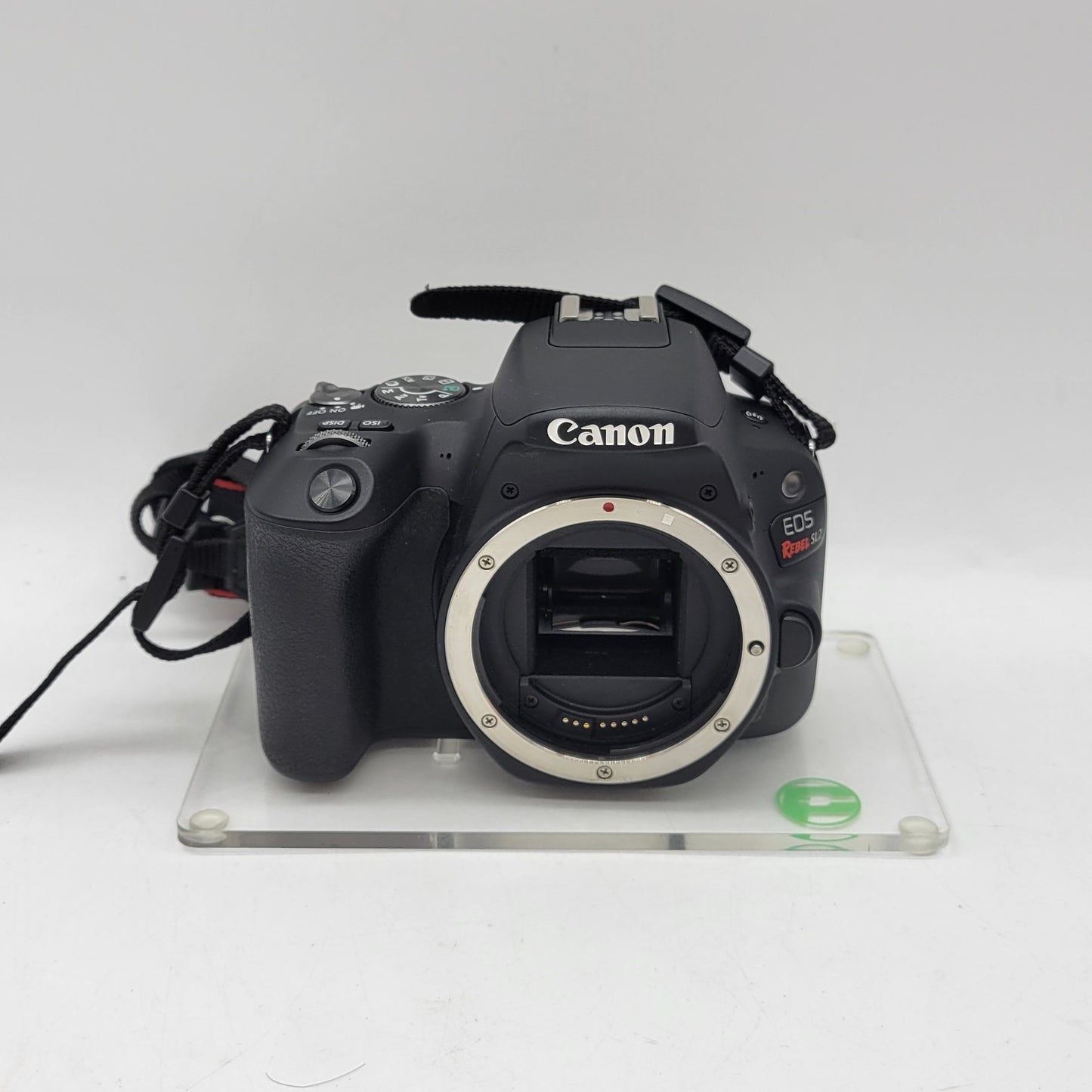 Canon EOS Rebel SL2 24.2MP Digital SLR DSLR Camera